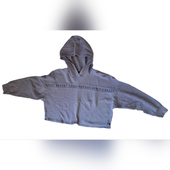 Under Armour Lavendar Gray Loose Boxy Fit Long Sleeve Hooded Sweatshirt - Picture 2 of 8